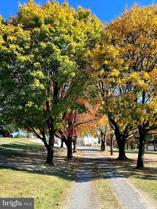 view of street with driveway