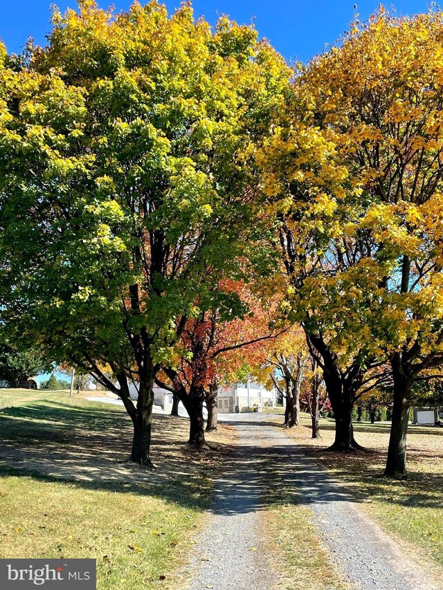 view of road featuring driveway