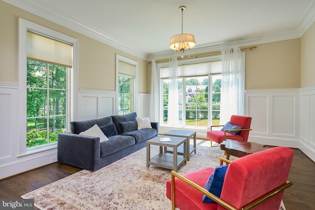 living area featuring dark wood-style floors, a wainscoted wall, and ornamental molding