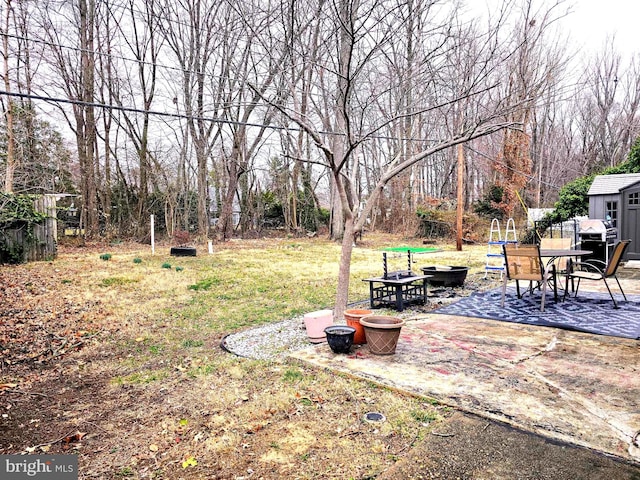 view of yard with a patio, an outbuilding, and a shed