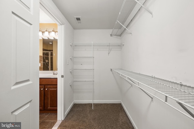 spacious closet featuring visible vents, carpet flooring, and a sink