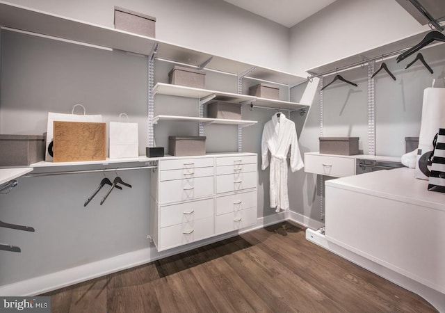 spacious closet with dark wood-type flooring