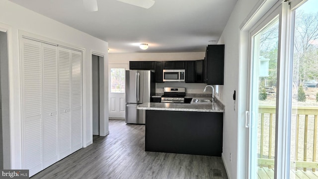 kitchen featuring dark cabinetry, wood finished floors, a peninsula, a sink, and stainless steel appliances