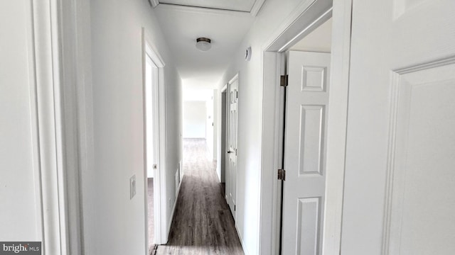 corridor featuring attic access and wood finished floors