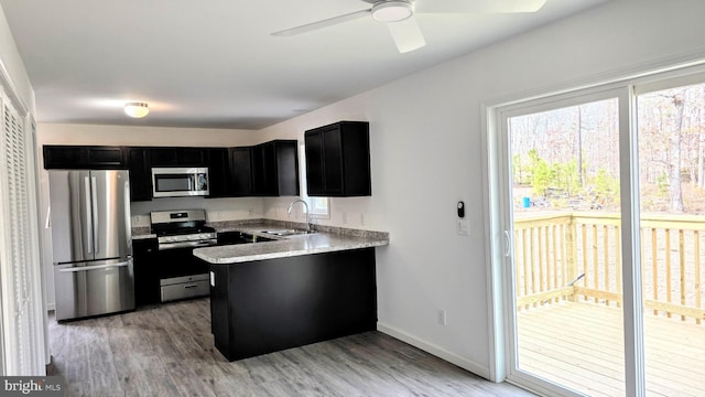 kitchen featuring a sink, stainless steel appliances, light wood-type flooring, and dark cabinets