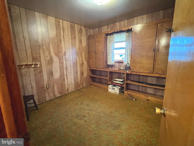interior space with wood walls and carpet floors