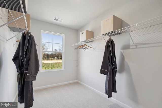 spacious closet featuring visible vents and carpet floors