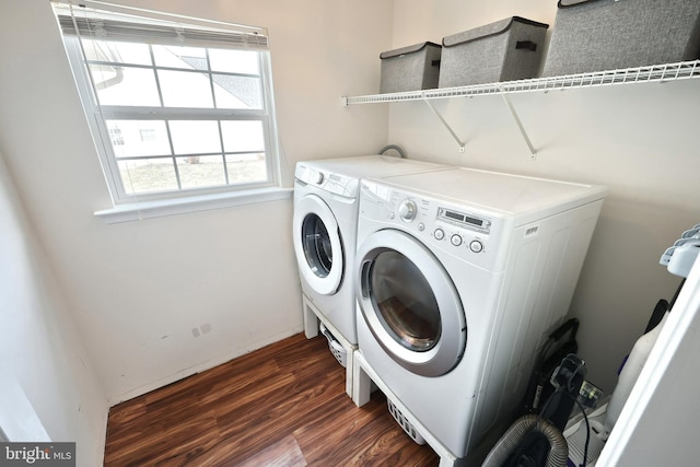 washroom featuring washer and clothes dryer, laundry area, and dark wood finished floors