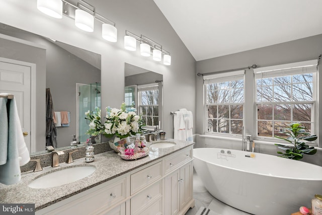 bathroom featuring a healthy amount of sunlight, lofted ceiling, and a sink