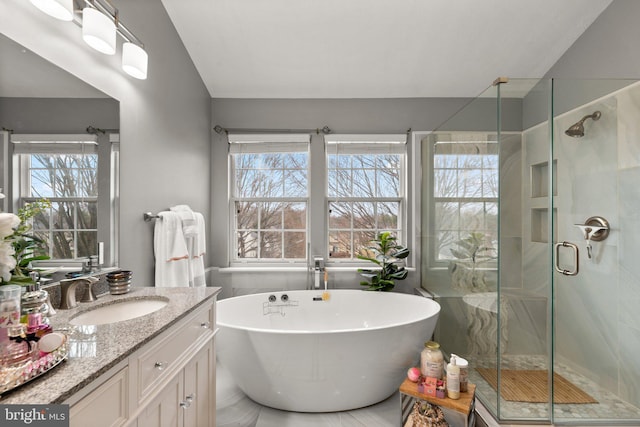 bathroom with a wealth of natural light, vanity, a freestanding bath, and a shower stall