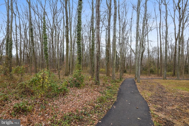 view of road with a forest view