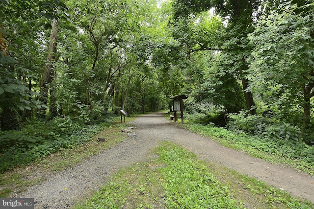 view of road featuring a view of trees