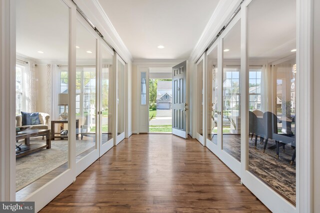 doorway featuring dark wood-style floors, a wealth of natural light, and french doors