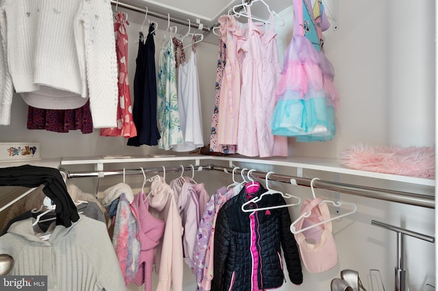view of walk in closet