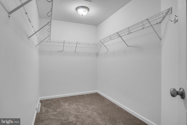 spacious closet with carpet