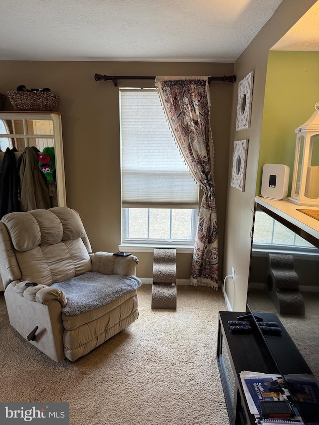 living area featuring carpet, baseboards, and a textured ceiling