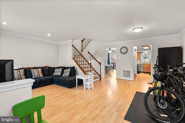 living area with stairway, a ceiling fan, visible vents, light wood finished floors, and crown molding