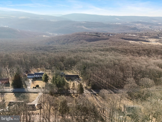 view of mountain feature featuring a forest view