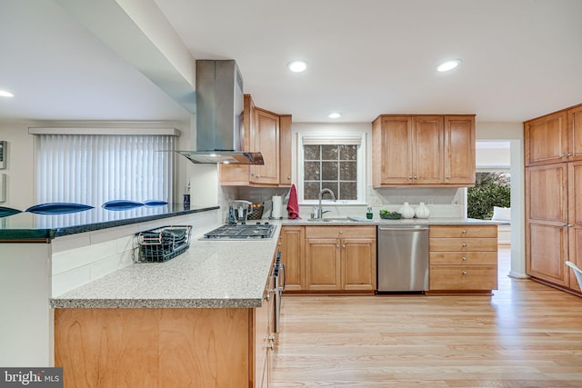 kitchen with tasteful backsplash, ventilation hood, light wood-type flooring, appliances with stainless steel finishes, and a sink