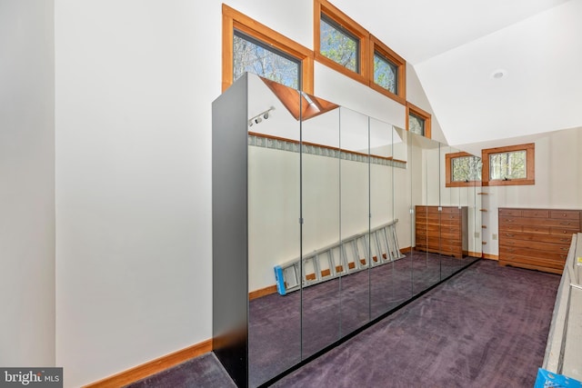 interior space featuring baseboards, lofted ceiling, and carpet floors