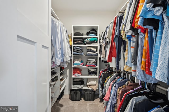 walk in closet featuring carpet