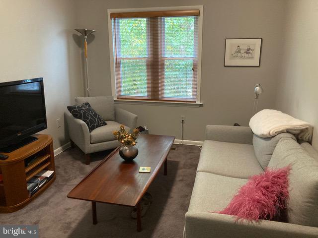 living area featuring baseboards and carpet floors