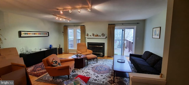 living area with a glass covered fireplace, a healthy amount of sunlight, rail lighting, and wood finished floors