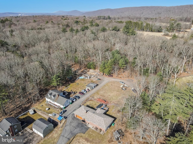 drone / aerial view featuring a mountain view and a view of trees