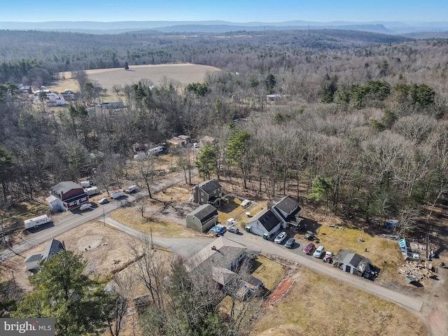 birds eye view of property featuring a mountain view and a wooded view