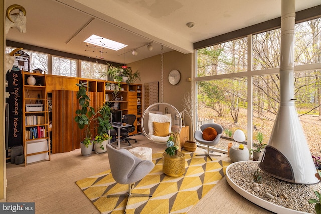 interior space with track lighting and a skylight