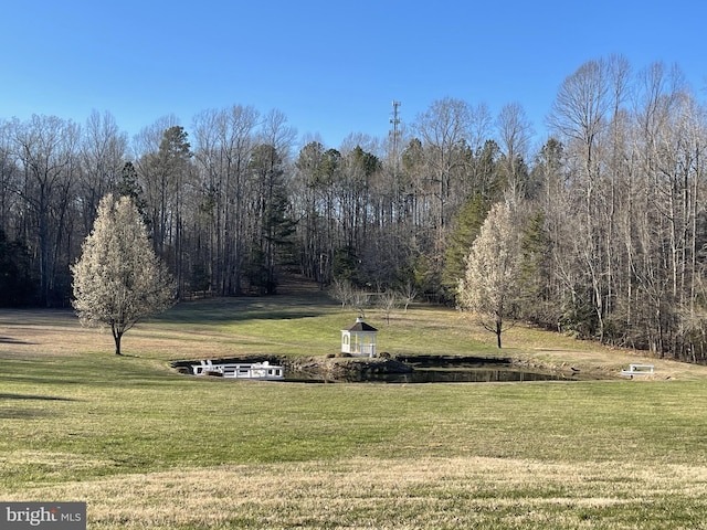 view of home's community with a lawn