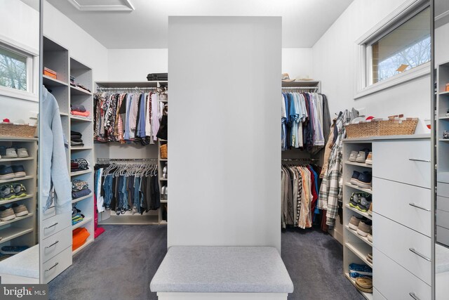 walk in closet with dark carpet