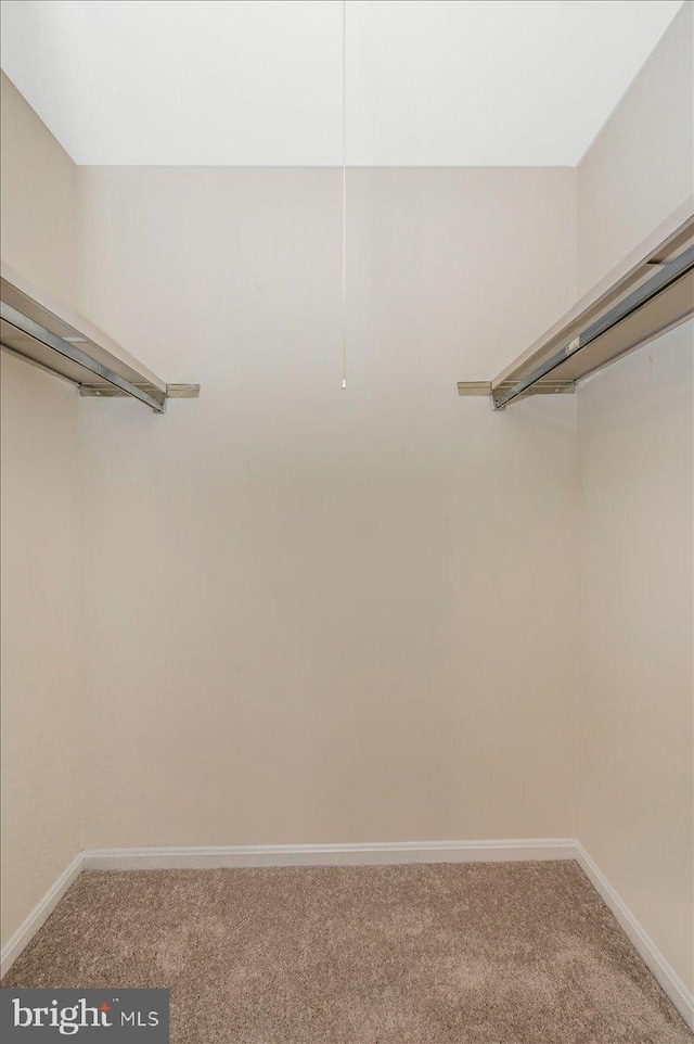 spacious closet with carpet flooring