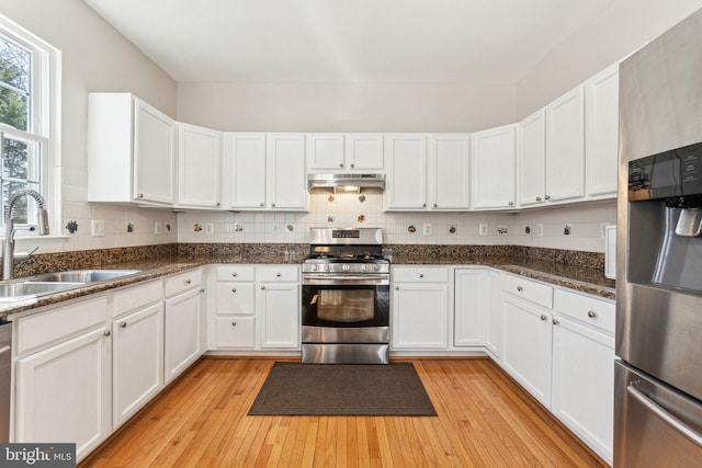 kitchen featuring light wood-style flooring, a sink, decorative backsplash, under cabinet range hood, and appliances with stainless steel finishes