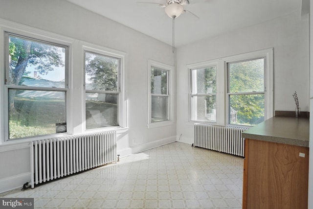 1033 Newton St NE, Washington, DC 20017 - unfurnished sunroom with radiator and healthy amount of natural light