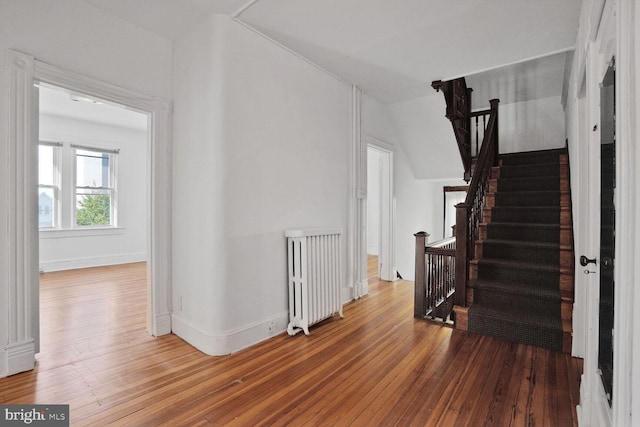1033 Newton St NE, Washington, DC 20017 - hall with hardwood / wood-style floors and radiator