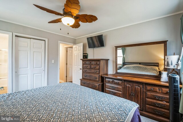 bedroom featuring a closet, ensuite bathroom, ceiling fan, and crown molding