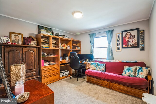 carpeted office space with crown molding