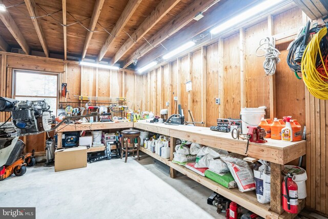 below grade area with a workshop area
