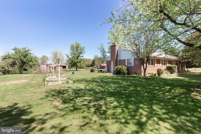 view of yard with a vegetable garden