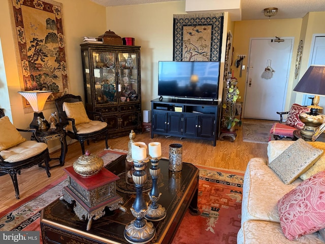 living area with wood finished floors