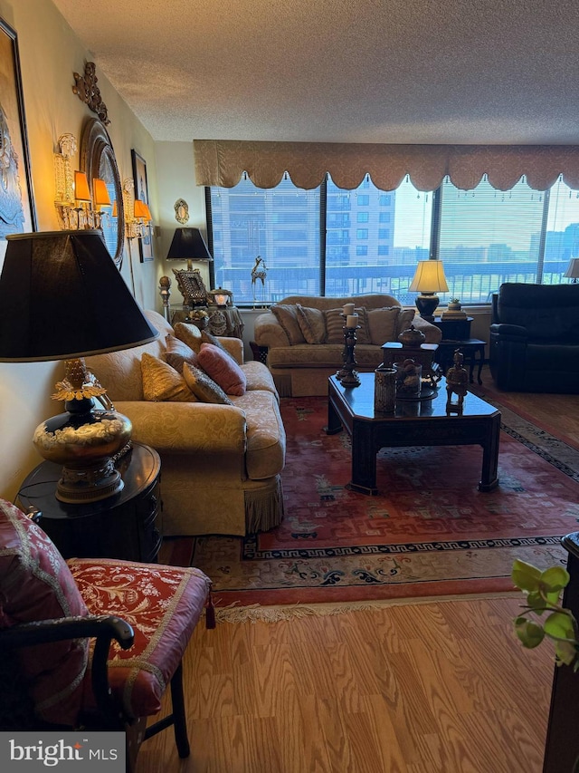 living area featuring a textured ceiling