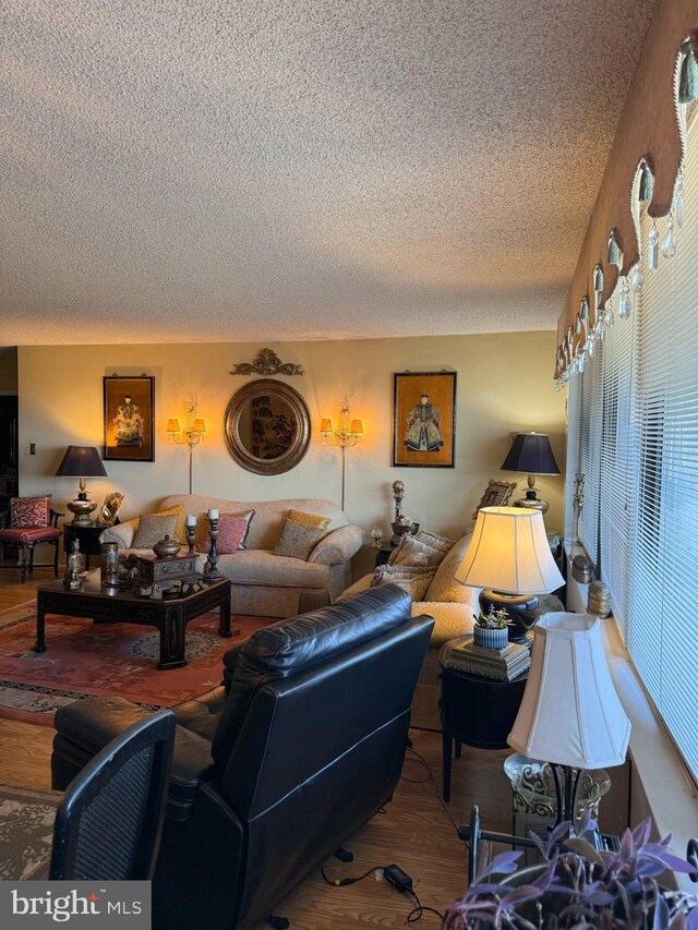 living area featuring a textured ceiling and wood finished floors