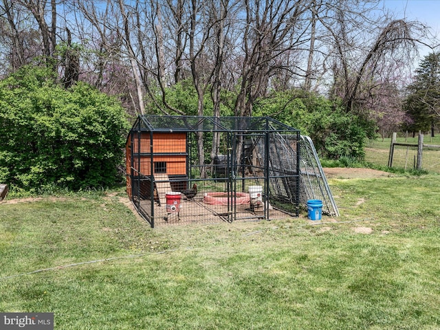 view of poultry coop with a lawn