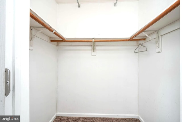 spacious closet with carpet flooring