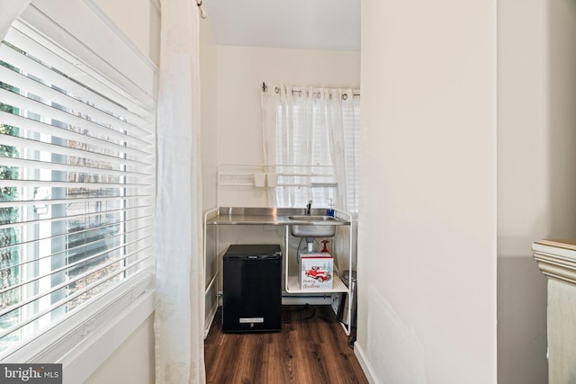 interior space featuring dark wood-style flooring and a sink