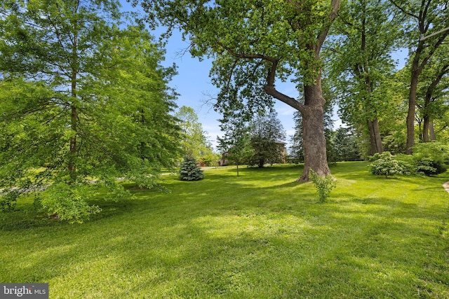 view of grassy yard