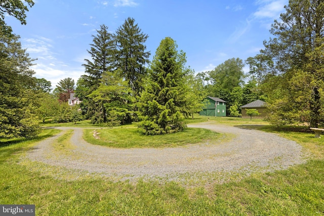 view of dirt / gravel driveway with view of wooded area