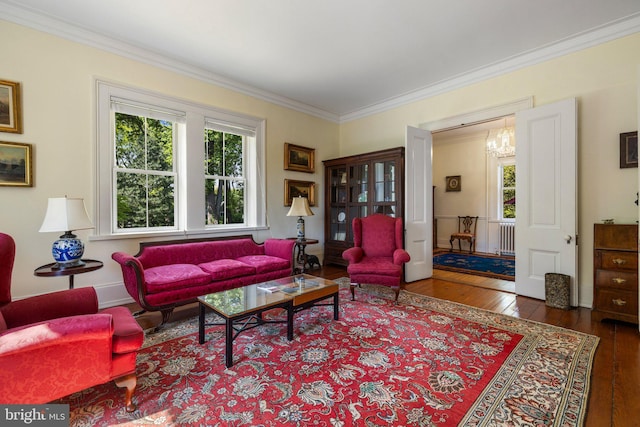 living room with wood-type flooring, crown molding, a chandelier, and radiator heating unit