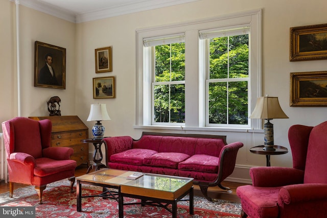 living area featuring wood finished floors and crown molding